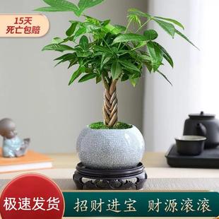 �徎�p�Ӱlؔ��С�����҃Ȼ��ܾGֲ��������[�����B�׻�Gֲ�辰