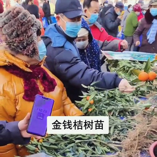 ������۽��X�ۘ����������Ի��خa��ֱ�N�ܽ����s���ؔ�؛�®aƷ