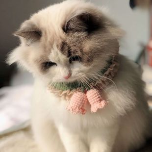 Crocheted cat collar cute lily of the valley scarf dog pet saliva towel super cute Japanese hair free shipping