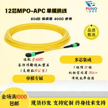 MPO-APC12芯 光纤单模跳线兼容全系光模块/交换机 数据中心专用