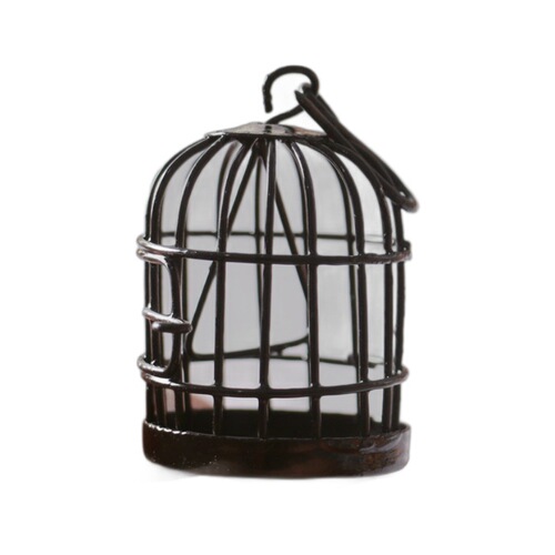 Ironwork Rust-Effect Birdcage Garden Patio Succulent Decorative Flower Basket Miniature Landscape Hollowed-Out Lace Wall Hanging Home Decor