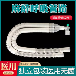 ����һ��������C������·�ݼy�ܻ�·�ܳ��˃�ͯ������·����Ƥ��