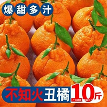 ���rˮ�����ָ����Ĵ���֪����ҰҸ̽������l�����̷���������