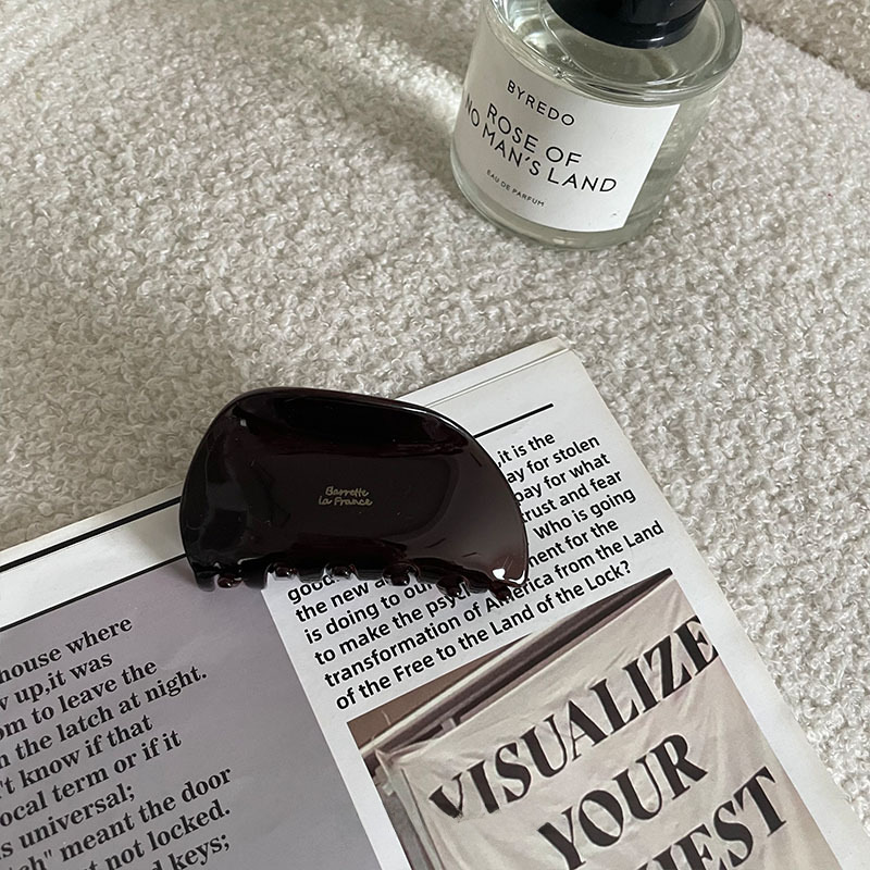 Factory Direct Elegant Brown Unique Gloss Grab Clip Hair Grab Pontail Clip Simple IN Shark Clip Hair Accessories Headdress_voghion.com