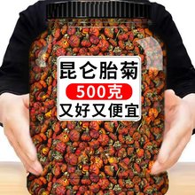 新疆昆仑雪菊胎菊产级昆仑山野外生红血菊胎菊非天山野菊花