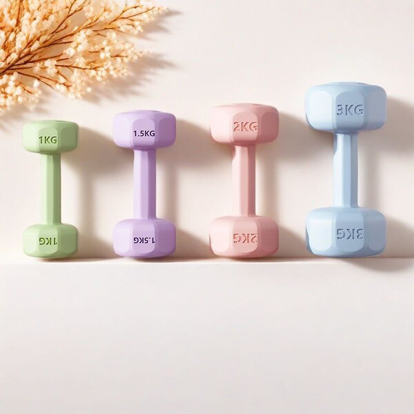 Women's dumbbells for gym