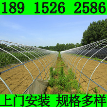 薄膜连栋蔬菜大棚养殖棚热度锌钢骨架外遮阳塑料大棚农业智能温室