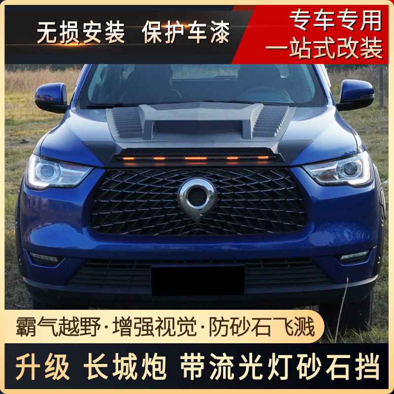 Tenxinrui adecuado para la Gran Muralla arma de Diamante coche modificación lluvia ceja ventana protector de lluvia de platino protector de lluvia Accesorios