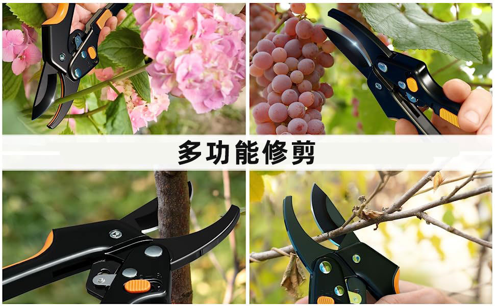 O1CN01FktqD41kAXn1qQEr5_!!9836