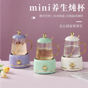 Multifunctional Small Electric Heating Cup Scented Tea Bird's Nest Health Cup Female European Office Portable Mini Health Pot Gift