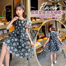 Ůͯ��ɫ��������Y�B��ȹ�д�ͯ