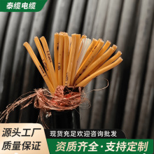 ˟o~ ܛо  1.0ƽ/оͨӍ늾