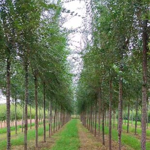 ���A���~�ܴ����@�־G���ܘ�����ܘ����ͥԺ�S���L�����X���