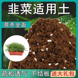 [gift package] leek suitable soil loose breathable potted green plant special indoor plant nutrient soil fertilizer