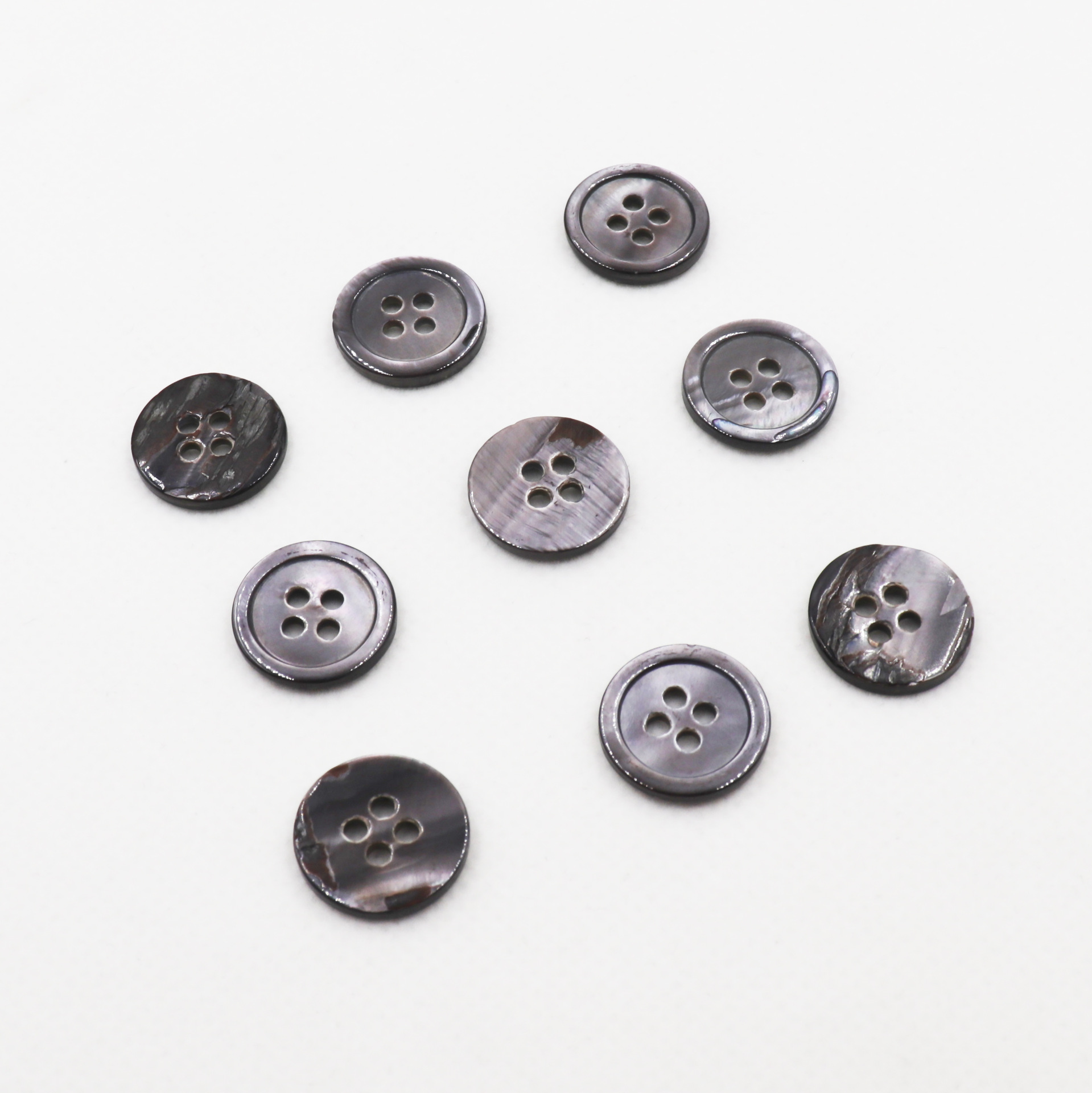 细边四眼灰贝 (5).JPG