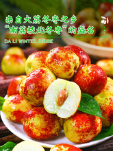 陕西大荔冬枣新鲜水果应当季大枣脆甜青枣整箱5斤枣子顺丰可选甜