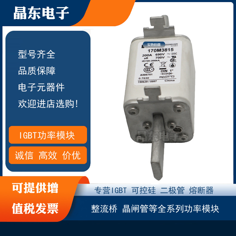 170M3694 170M3695 170M3696 170M3697 170M3739全新现货熔断器