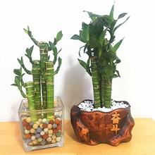 �Ĳ���4֧�Ĳ���ɻ����҃ȷ�����ˮ���k������X�������Ը�