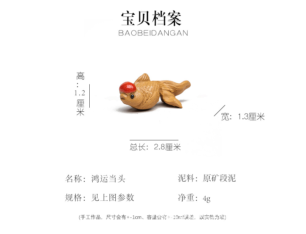 小金鱼20220714 (15).jpg