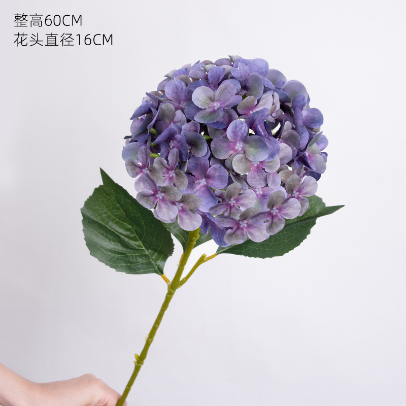 아이샤 수국*가을 보라색