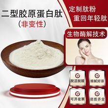 非变型II型胶原蛋白肽 鸡软骨提取小分子≤500Da食品级 厂家直发