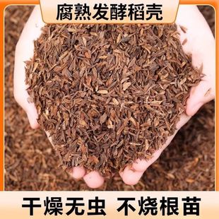 �l�͵������������������Ț��Gֲ����ֲ�ﻨ������÷�¼�ͨ�ß��N