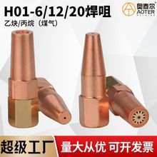国标H01-6/12射吸式焊炬丙烷乙炔焊嘴 液化煤气梅花焊枪焊咀头子