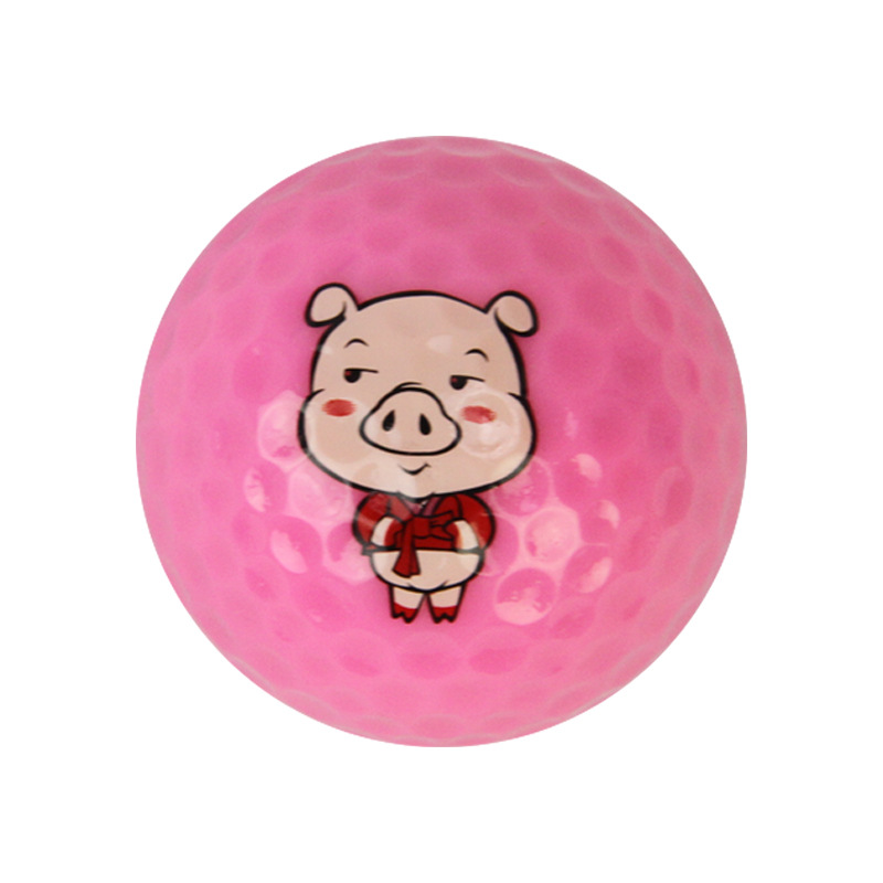 �������ӣ��߶�����ϰ��ͨ�������ո˾������հ��׳�ѧ���ո˶���