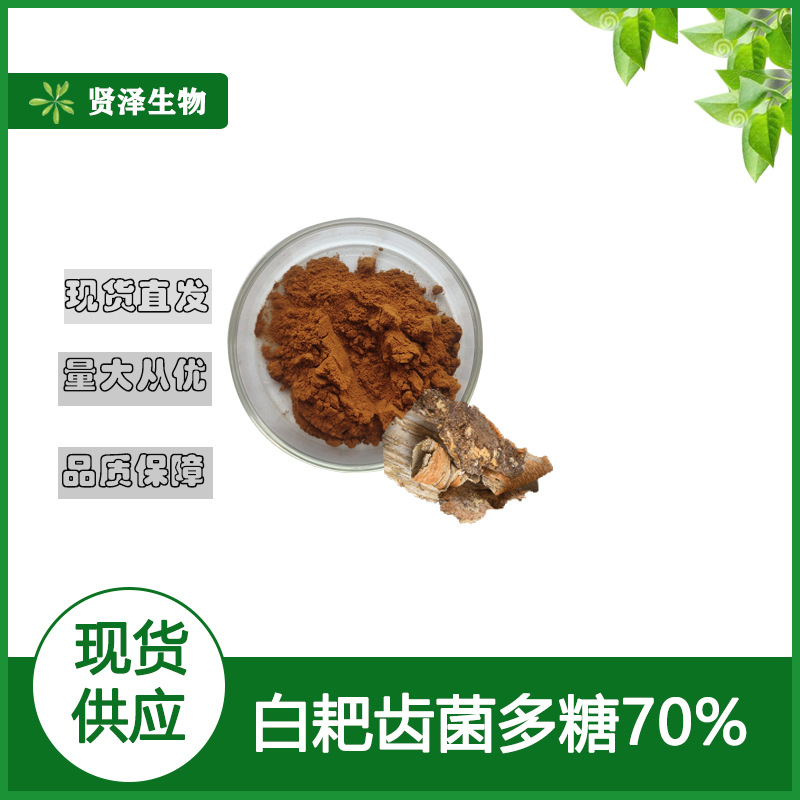 白耙齿菌多糖70% 白耙齿菌提取物 白耙齿菌粉 贤泽生物 现货供应