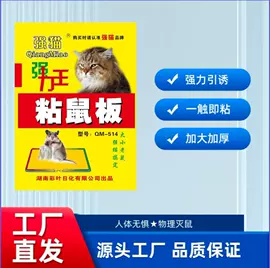 苍蝇拍;防虫防蛀;蚊香托盘/架