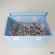 �����N��l��Ͱ͸��̌W�þߴ�ឱ��r�м��ü�ͥ�҃�Λρ��B��