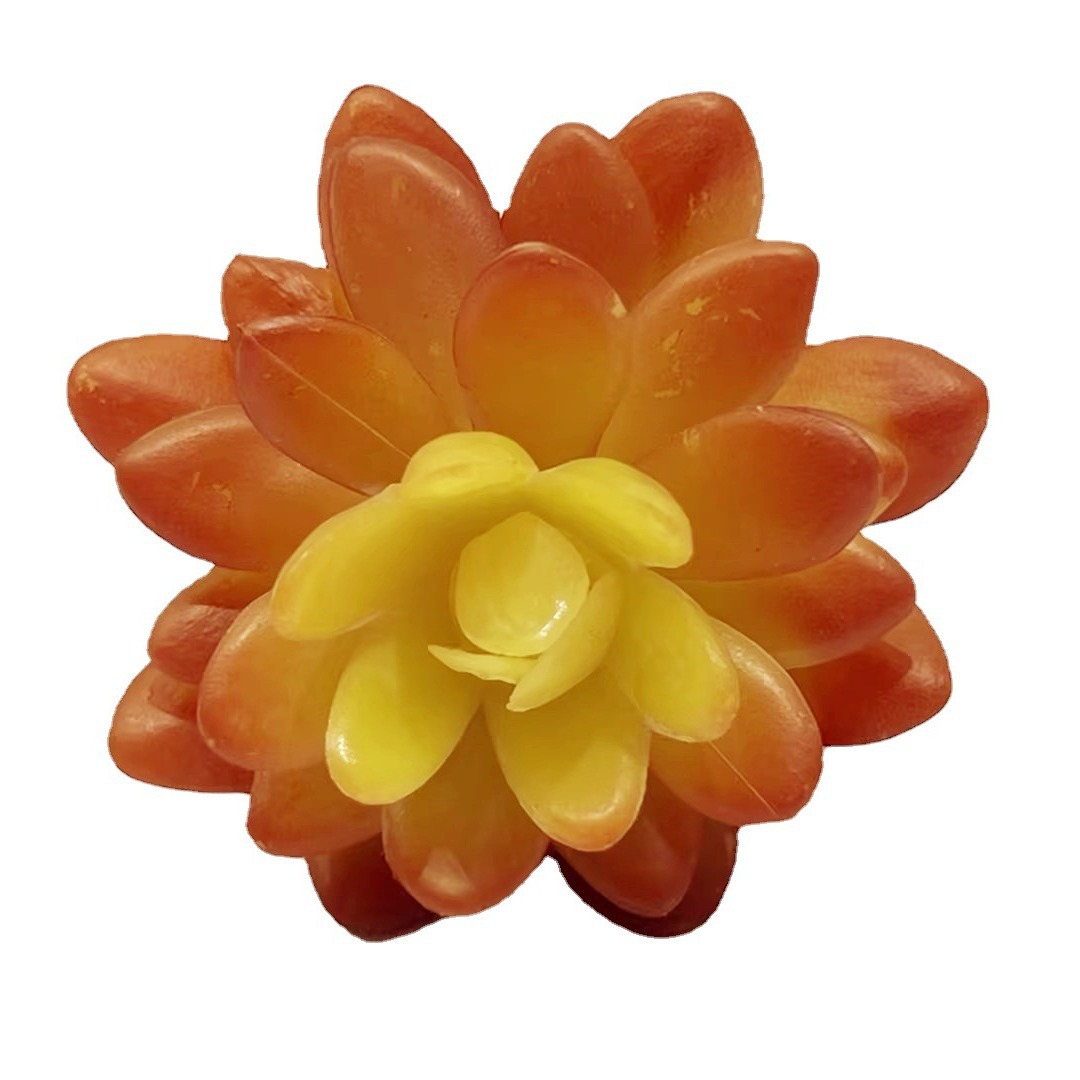 Marco decorativo Planta nórdica colgante de pared decoración de pared colgante de pared tridimensional pared de fondo de planta verde pared cabeza de ciervo simulación suculento planta verde