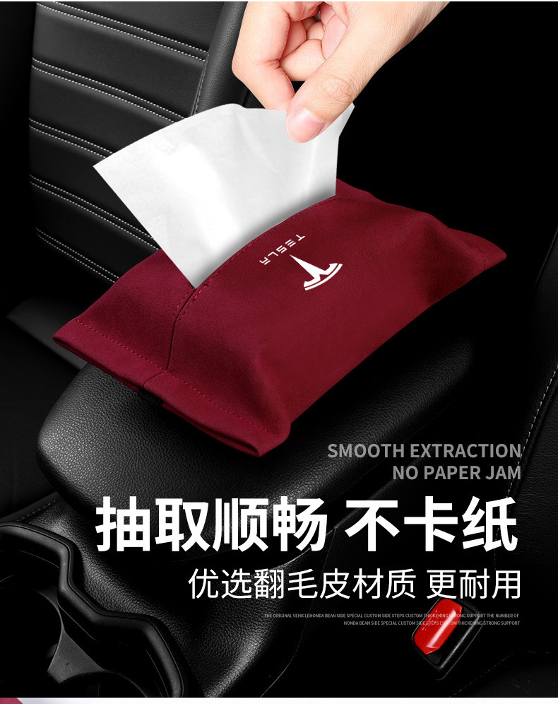 特斯拉 (11).jpg
