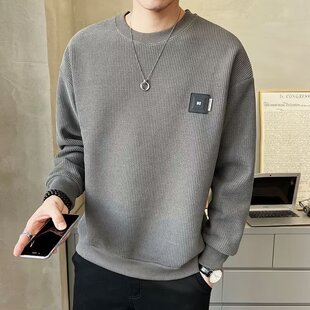 Textured sweatshirt men's spring and autumn solid color 2023 autumn trendy loose round neck casual men's autumn clothing one piece drop shipping
