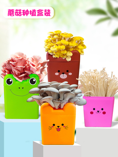 ƽͨbĢNֲ̨ͰbNͥBNʳþN