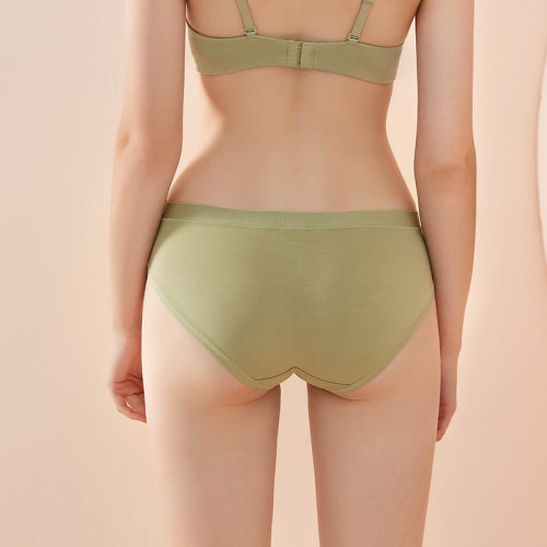 Shenzhen Zhiqu Girls Breathable Briefs Thin High Elastic Hip Covering Seamless Modal Cotton Crotch Women's Low Waist Briefs