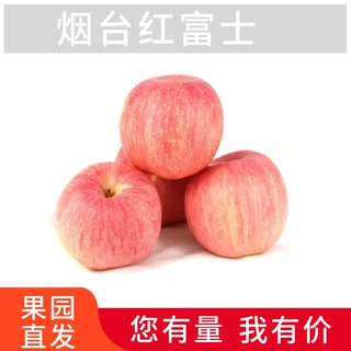 山东红富士苹果产地直发新鲜时令红富士苹果一件代发