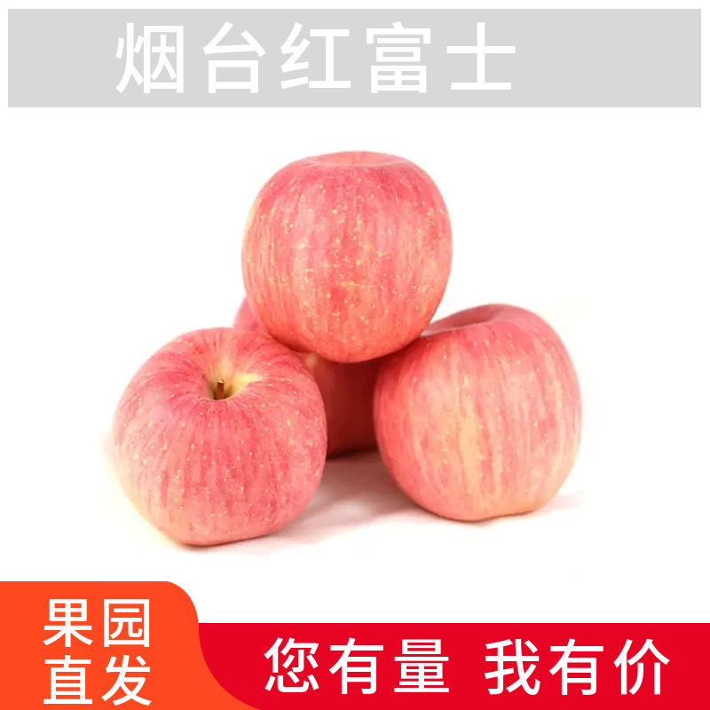 Shandong Red Fuji Apple Origin Straight Hair Fresh Seasonal Red Fuji Apple Drop Shipping Shandong Red Fuji Apple Origin Straight Hair Fresh Seasonal Red Fuji Apple Drop Shipping
