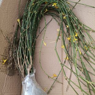 ӭ��������ӭ�������ļ������ͺ�����ֲ���̨����ͥԺ�����_����