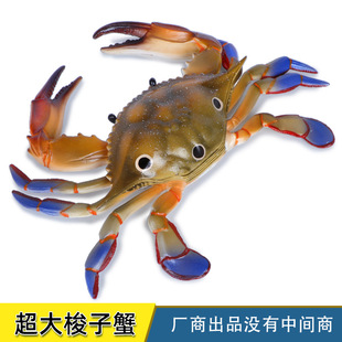 ���溣������ģ���з�������з��̖ģ�̓�ͯ�ƽ��J֪�Y��[��