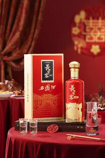 ���P���L����