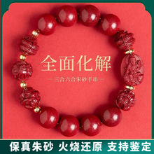 2026�R��ԭ�V��ɰ�ִ��Ͻ�ɰ������ʮ����Ф����������ؔ�D�\���