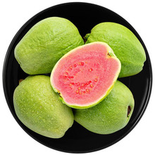 番石榴 番石榴品牌 图片 价格 番石榴批发 阿里巴巴