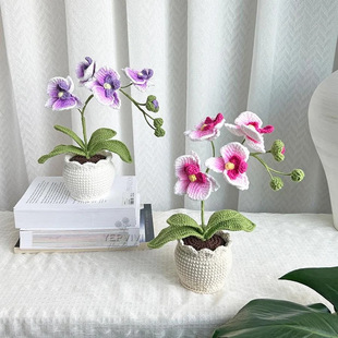 Cross-Border Finished Phalaenopsis Fake Flower Wool Potted Plant Artificial Handmade Crocheted Potted Plant Desktop Decoration Ornaments Gift