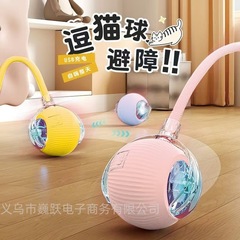 子犬のペットは自動的に犬のおもちゃの神器をからかってボールを跳んで犬を散歩します。