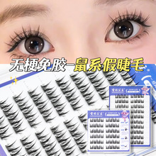 �o����ϵ�������z�ٽ�ë����������Ȼ�����з���ֶ��¿����ֳ�ܛ