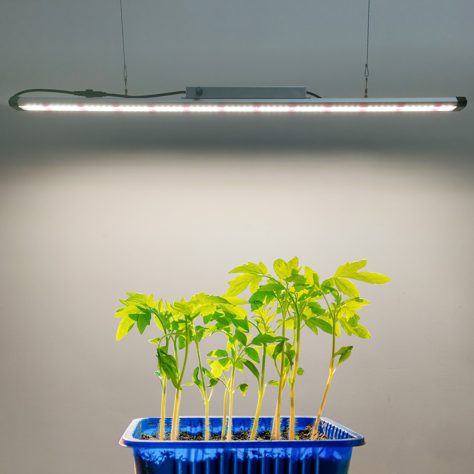 liweida¿100W 1M 0.6M IP65ˮLEDҴﴹֱũҵȵư