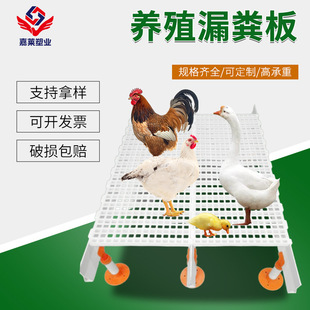 �B�u����©�S���u����������©�S�W���u���B�u�W��ӼS���u�W��