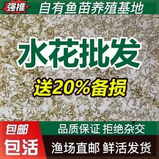 ˮ���~���a�~�~���~���^�����������~���~����~�N���~