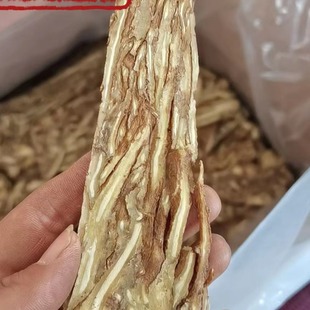 ���w ���w����Ƭ ���w���ĉ�Ƭ �a�� ���Cʡ ͬ��ș�� �����Ĕz